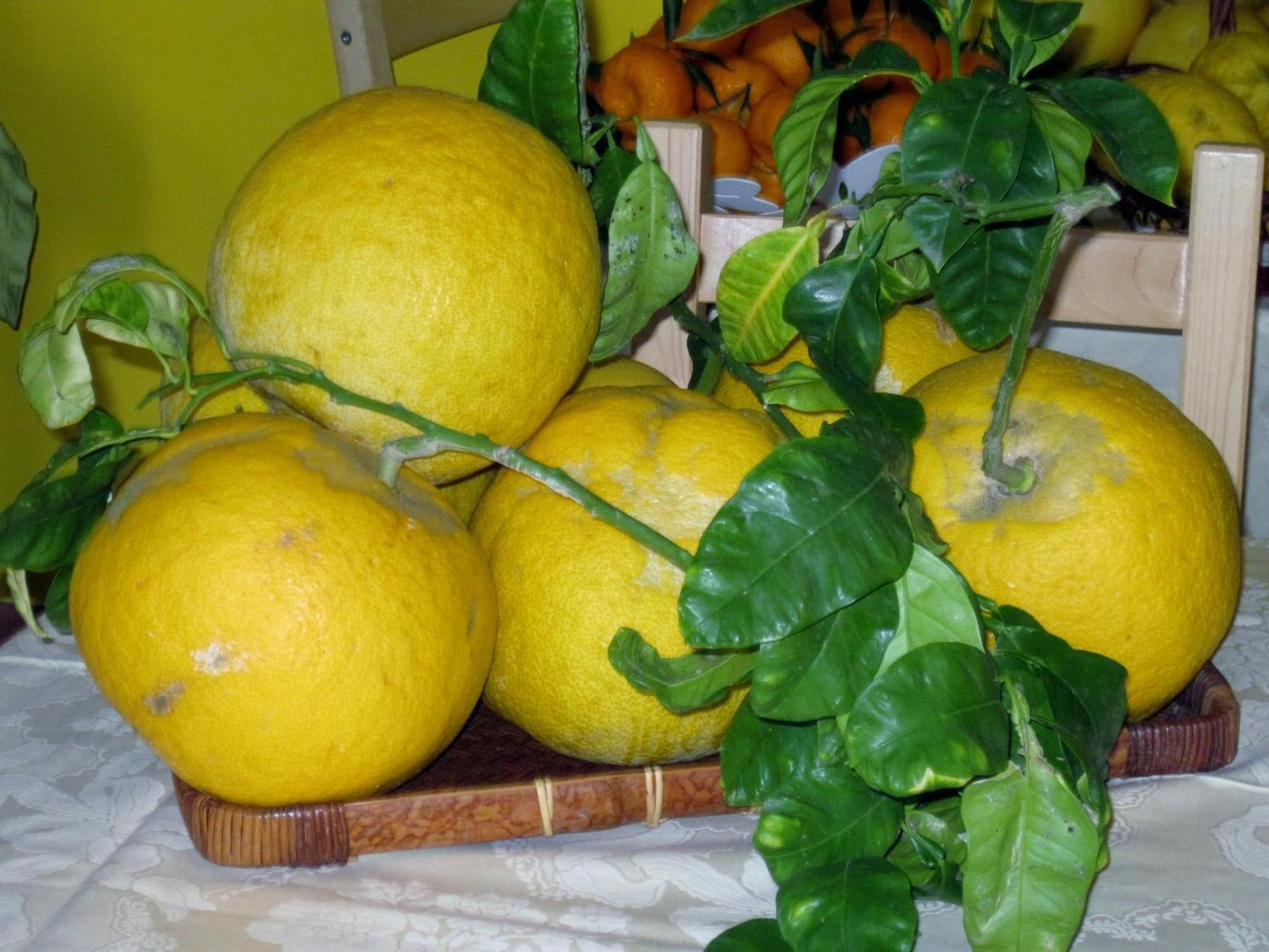 Bed & Breakfast Lirma Cefalù