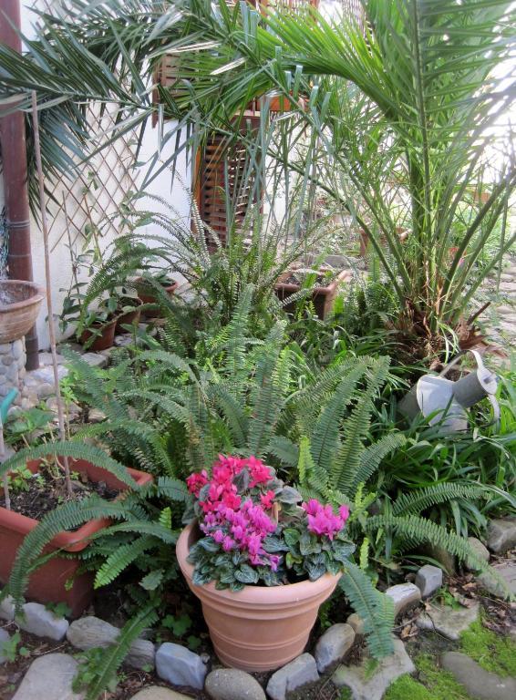 Bed & Breakfast Lirma